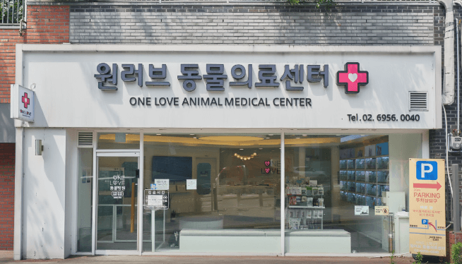 서울 성북구 동물병원