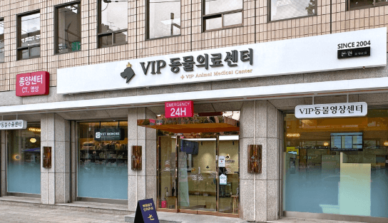 서울 동대문구 동물병원