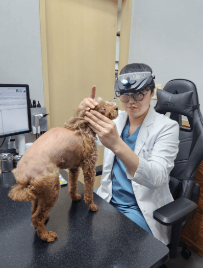 서울 동대문구 동물병원