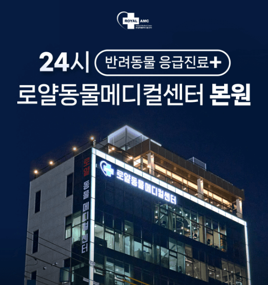 서울 중랑구 동물병원