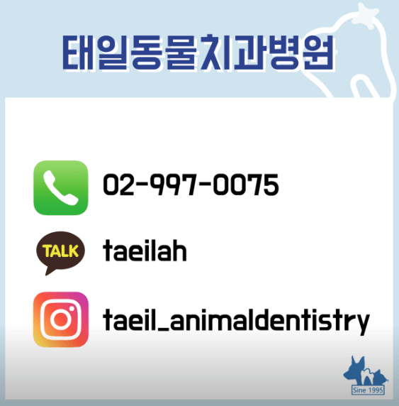 서울 도봉구 동물병원