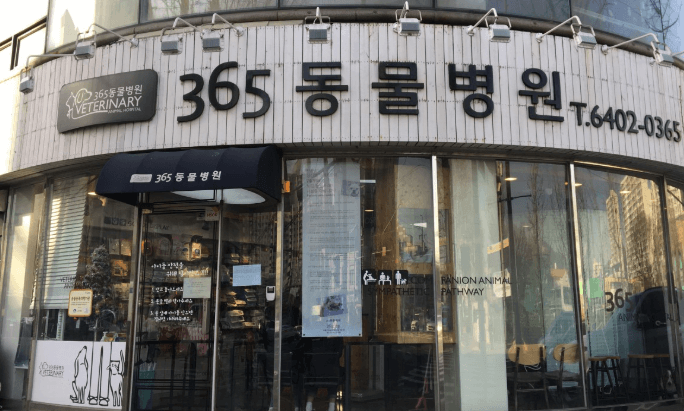 서울 도봉구 동물병원