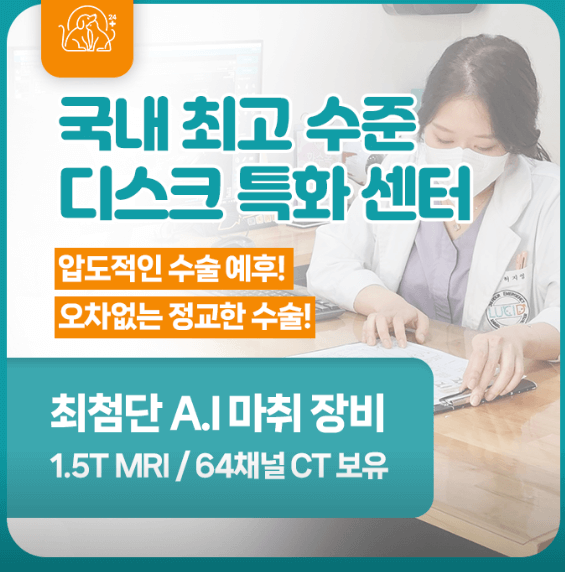 서울 강북구 동물병원