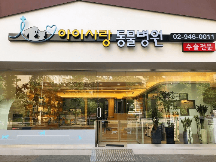 서울 강북구 동물병원
