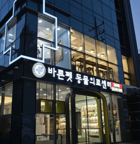 서울 강북구 동물병원