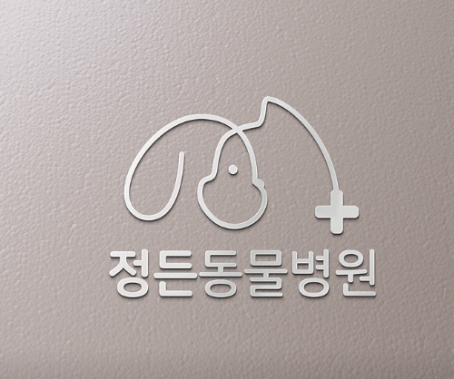 서울 은평구 동물병원