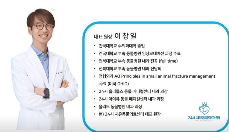 서울 은평구 동물병원