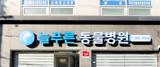 서울 은평구 동물병원