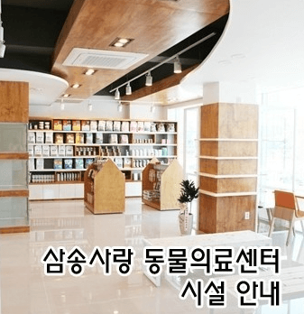 고양시 덕양구 동물병원