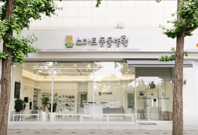 고양시 일산동구 동물병원