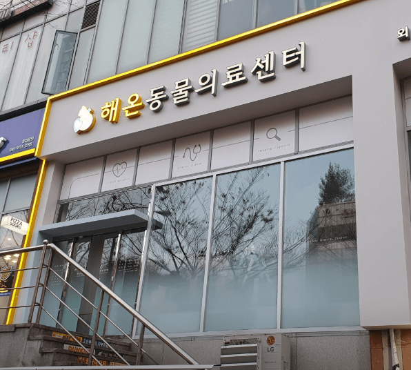 고양시 일산동구 동물병원