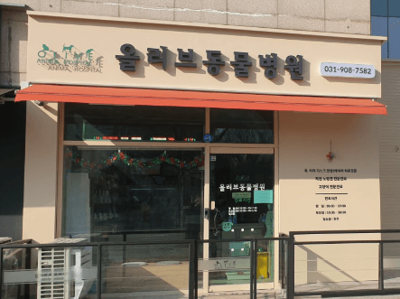 고양시 일산동구 동물병원