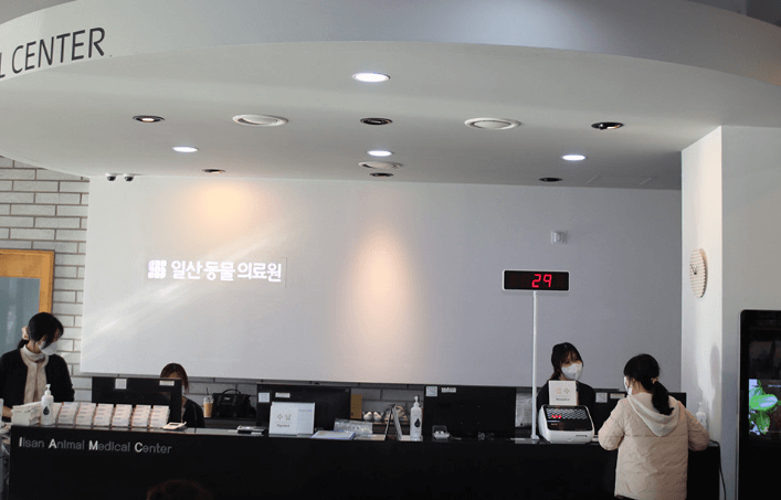 고양시 일산서구 동물병원