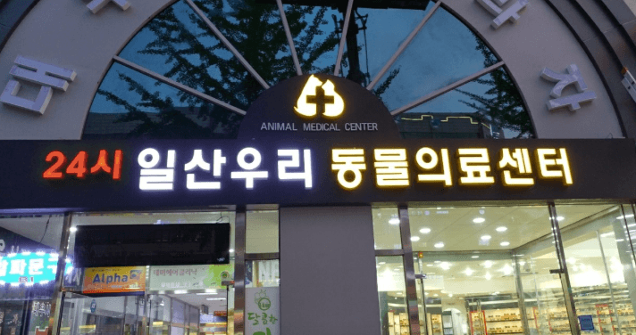 고양시 일산서구 동물병원