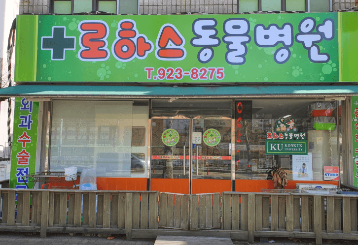 고양시 일산서구 동물병원