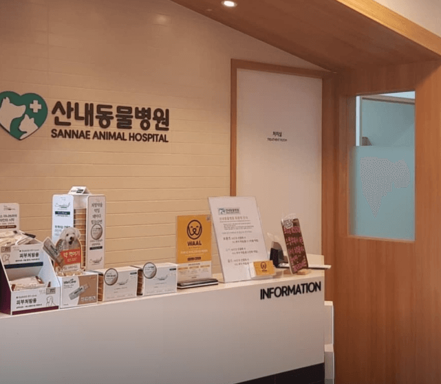 파주시 동물병원