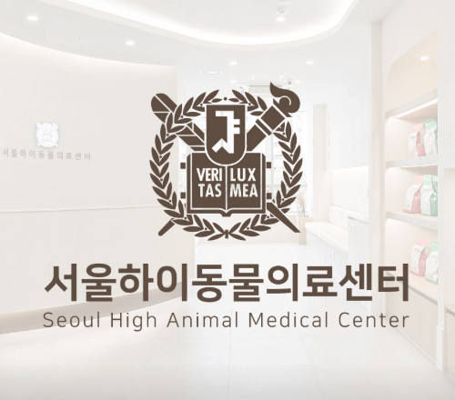 파주시 동물병원