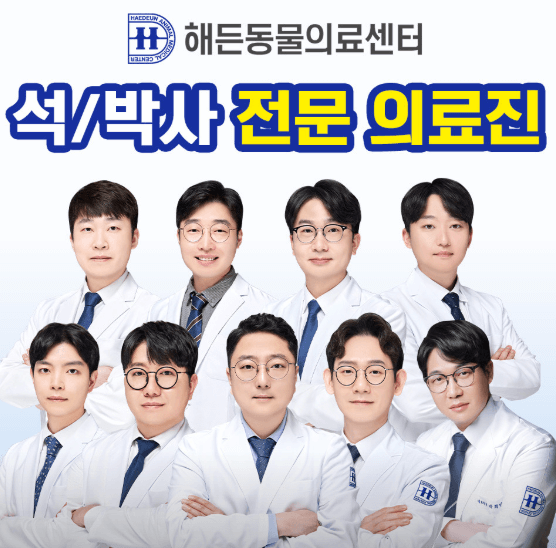 양주시 동물병원