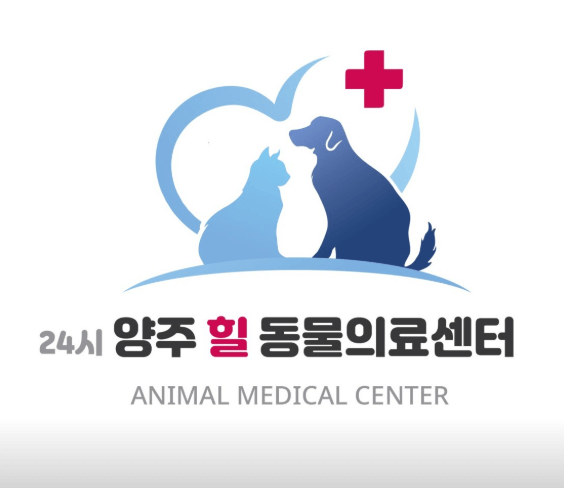양주시 동물병원