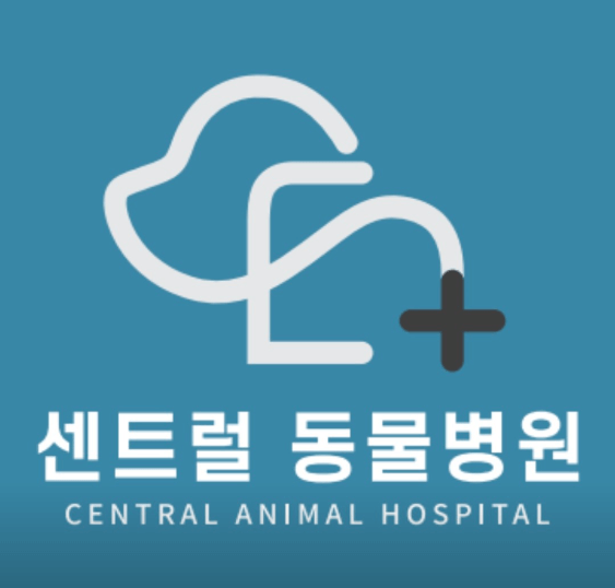 양주시 동물병원