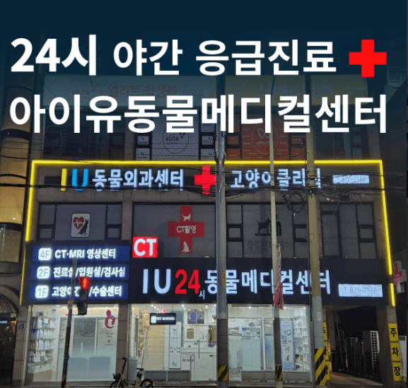 의정부시 동물병원