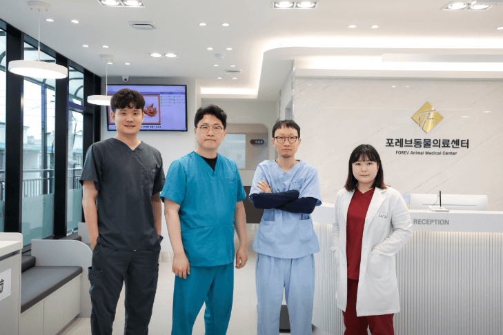 동두천시 동물병원