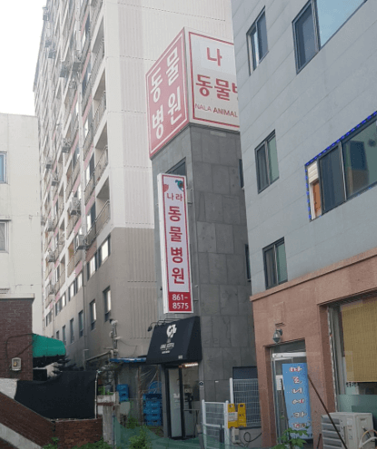 동두천시 동물병원