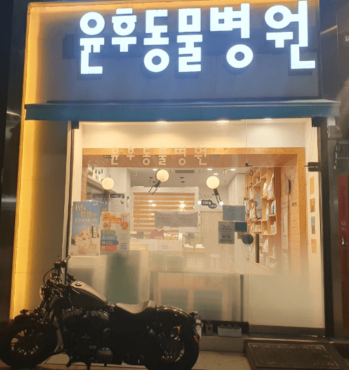 동두천시 동물병원