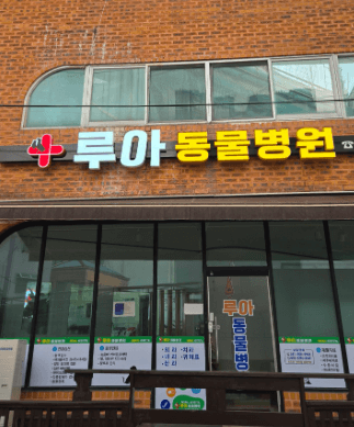 동두천시 동물병원