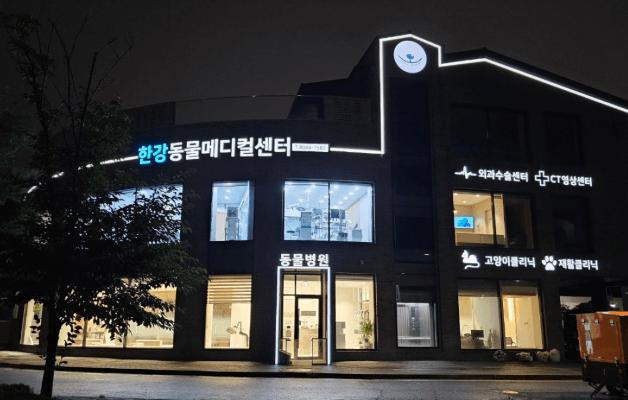 김포시 동물병원