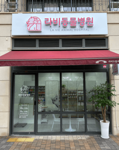 김포시 동물병원