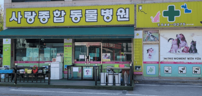 포천시 동물병원