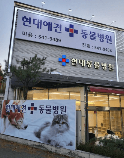 포천시 동물병원