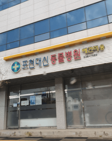 포천시 동물병원