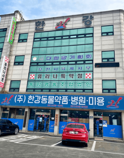 포천시 동물병원