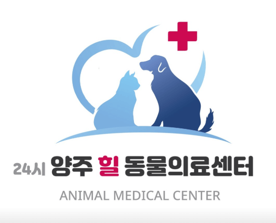 포천시 동물병원