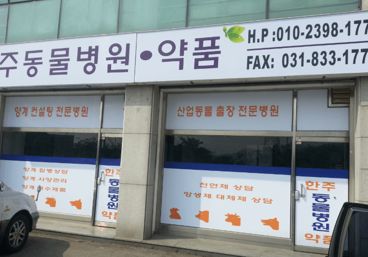 연천군 동물병원