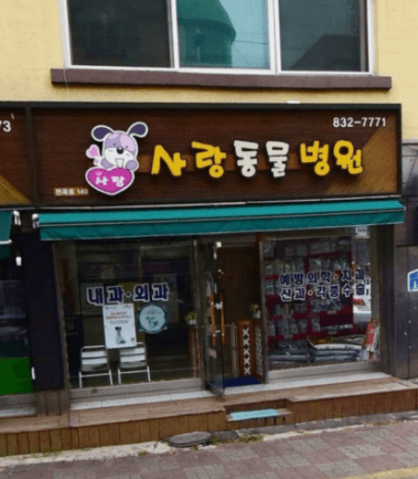 연천군 동물병원