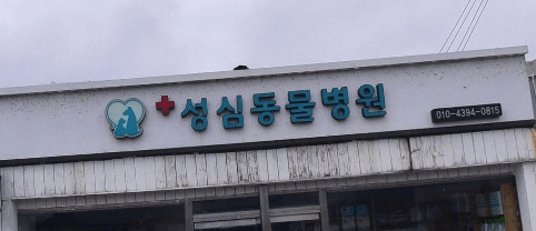 연천군 동물병원