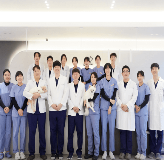 남양주시 동물병원