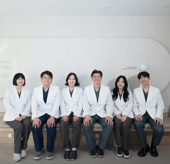 남양주시 동물병원