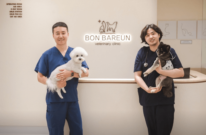 남양주시 동물병원