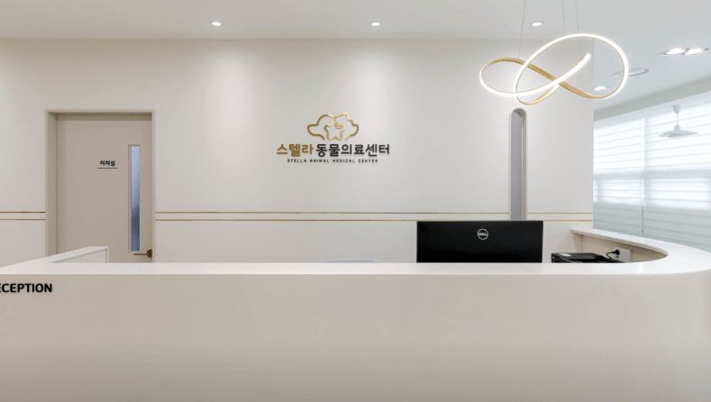 남양주시 동물병원