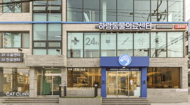 남양주시 동물병원