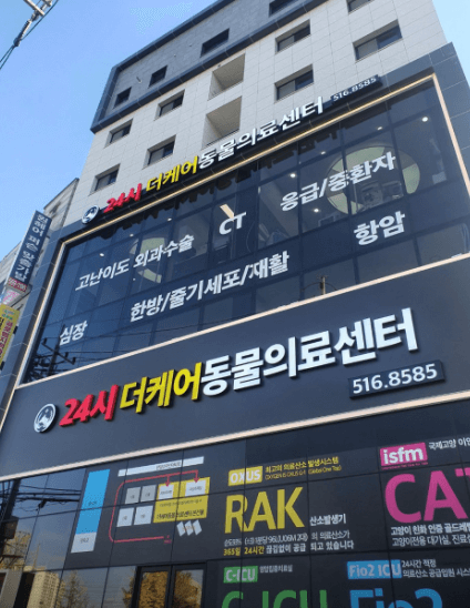 구리시 동물병원