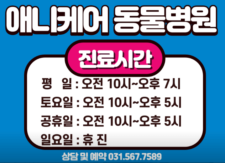 구리시 동물병원