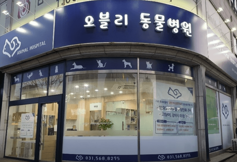 구리시 동물병원