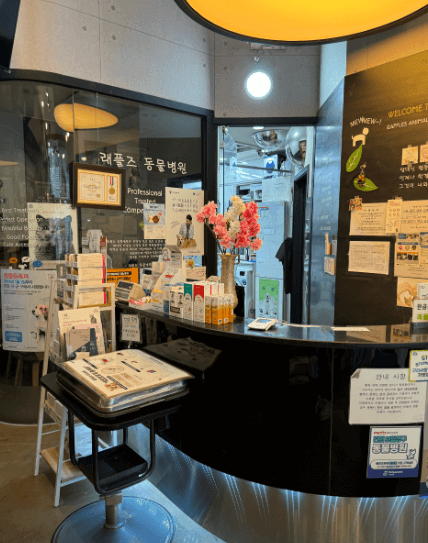 구리시 동물병원