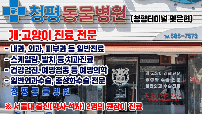 하남시 동물병원