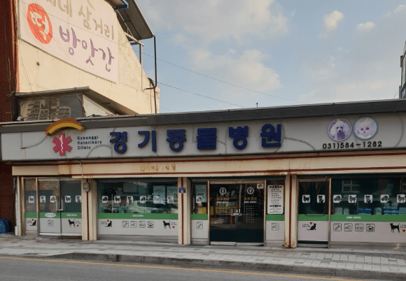 하남시 동물병원